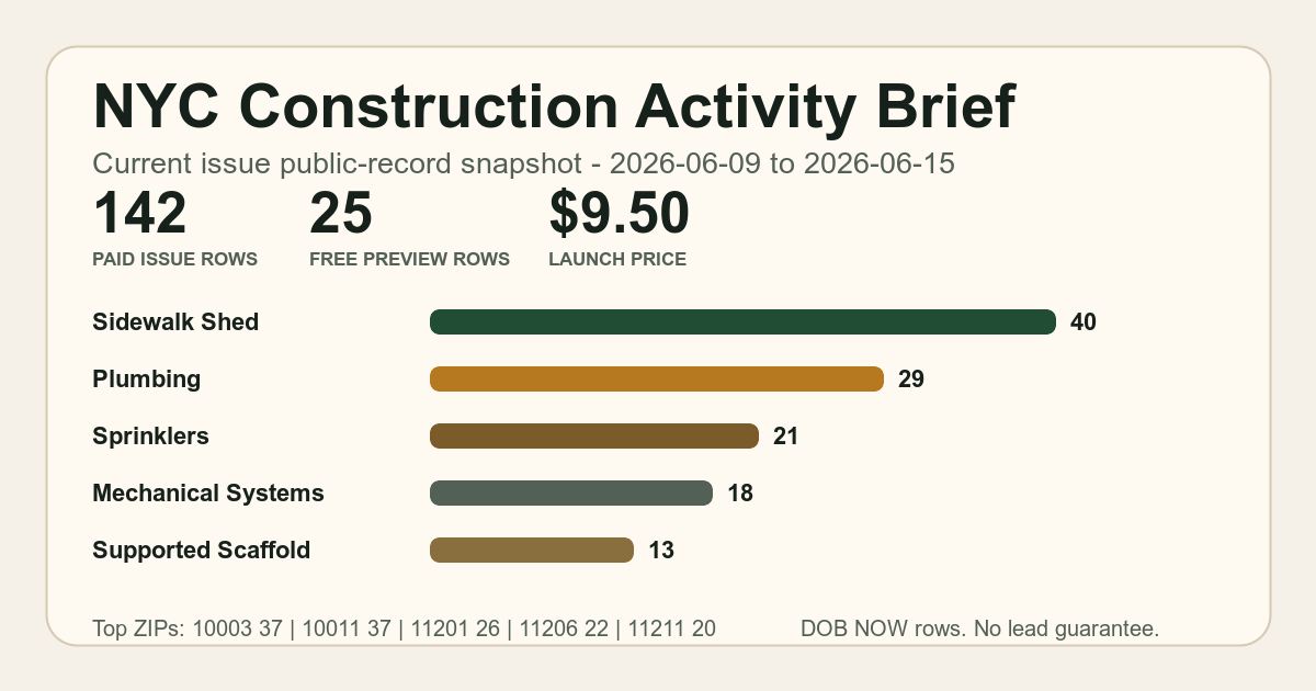 Current issue snapshot chart showing row counts, top work types, top ZIPs, and launch pricing